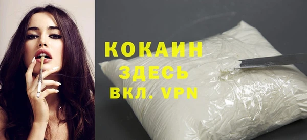 спайс Няндома