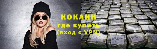 спайс Няндома