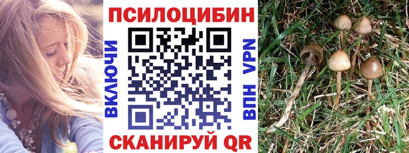 Галлюциногенные грибы ЛСД  кракен   Чапаевск  где купить наркотик 
